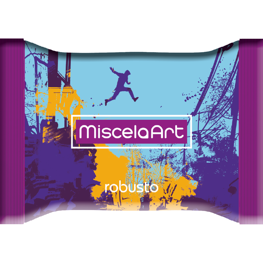 Capsule MiscelaArt Compatibili Miscela Robusto