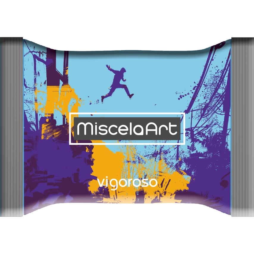 Capsule MiscelaArt Compatibili Miscela Vigoroso