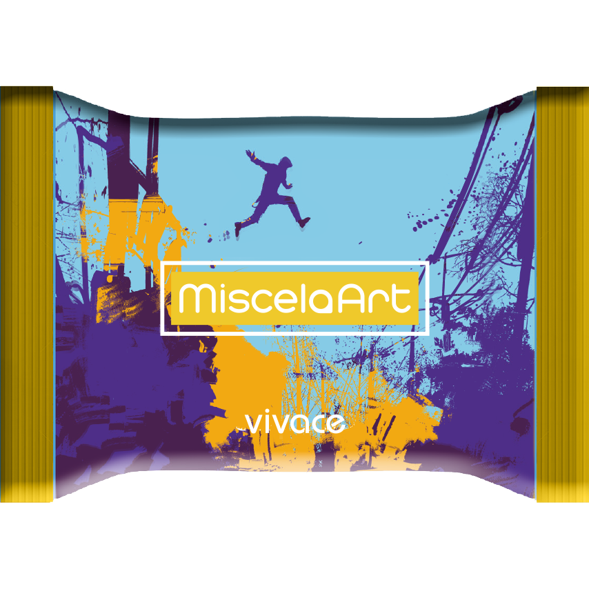 Capsule MiscelaArt Compatibili Miscela Vivace
